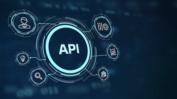 Safeguarding Digital Interactions: A Deep Dive into API Security